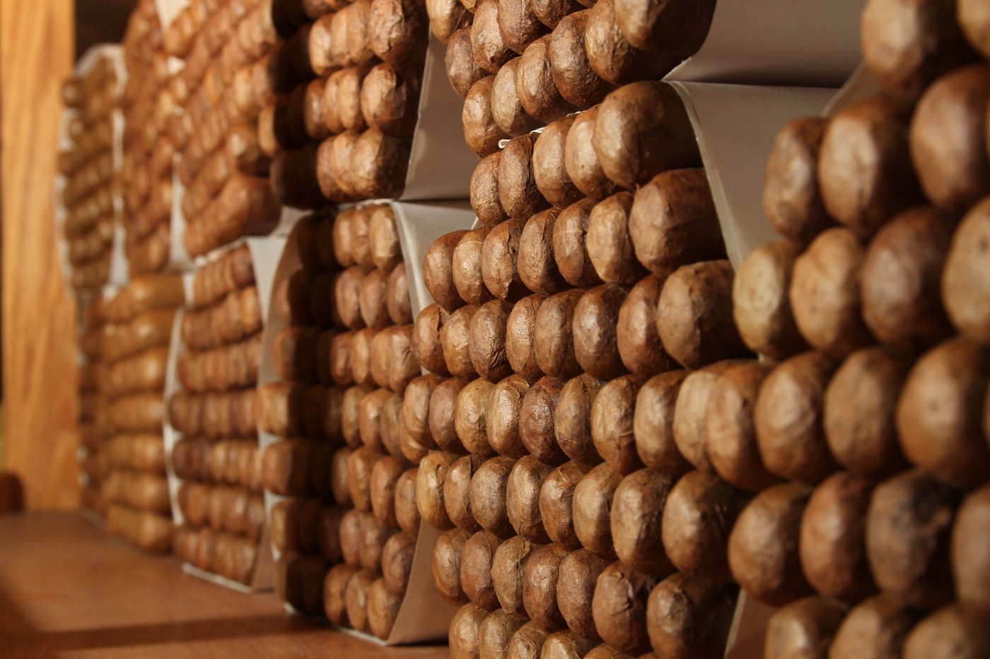 Boxes of premium cigars on display